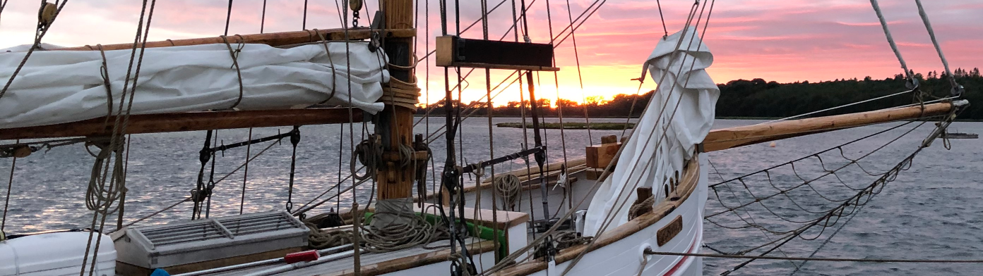 Æstetisk billede af træskibet betty